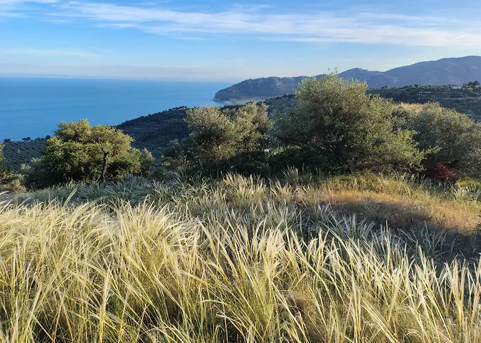 L'Olivo - Meridiana Case Al Mare
